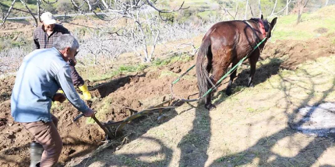 Köyün en genci 50 yaşında: Genç nüfus kalmaması en büyük sorunları 5